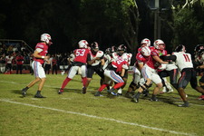 Enlarge photo 299