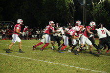 Enlarge photo 301