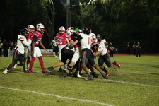 Enlarge photo 305
