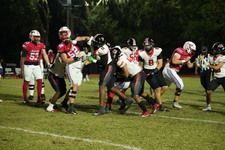 Enlarge photo 309