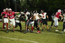 Enlarge photo 313