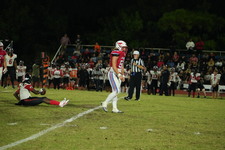 Enlarge photo 416