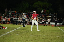 Enlarge photo 421