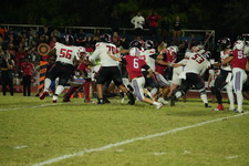 Enlarge photo 629