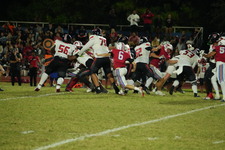 Enlarge photo 630