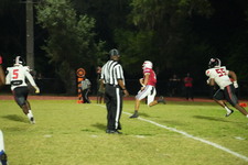 Enlarge photo 910