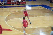 Enlarge photo 448