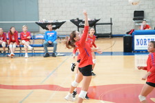 Enlarge photo 28
