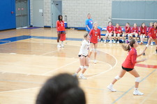 Enlarge photo 33