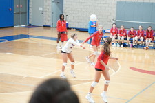 Enlarge photo 53