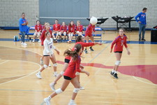 Enlarge photo 73