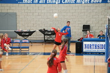 Enlarge photo 81