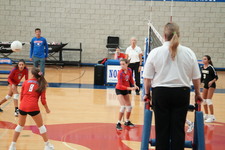 Enlarge photo 125