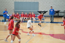Enlarge photo 124