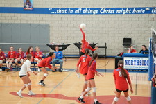 Enlarge photo 164