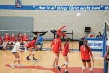 Enlarge photo 165