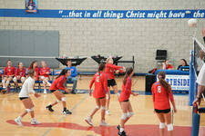 Enlarge photo 166