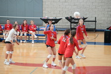Enlarge photo 173