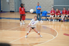 Enlarge photo 174