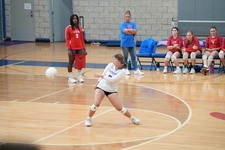 Enlarge photo 175