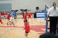 Enlarge photo 195