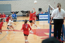 Enlarge photo 199
