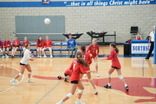 Enlarge photo 206