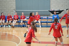 Enlarge photo 215
