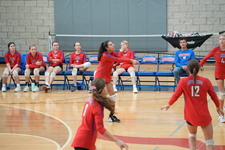 Enlarge photo 216