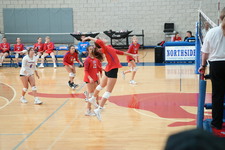 Enlarge photo 223