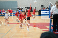 Enlarge photo 224