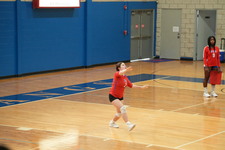 Enlarge photo 243