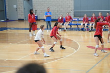 Enlarge photo 249