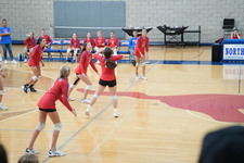 Enlarge photo 258