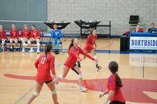 Enlarge photo 294