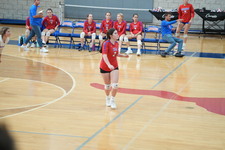 Enlarge photo 331