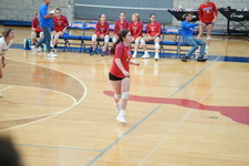 Enlarge photo 332