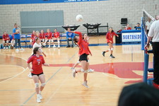 Enlarge photo 339