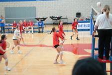 Enlarge photo 342
