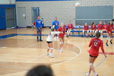 Enlarge photo 367