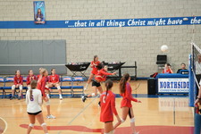Enlarge photo 393