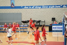 Enlarge photo 392