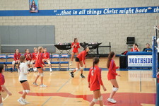 Enlarge photo 394