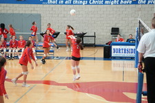 Enlarge photo 397