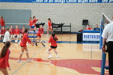 Enlarge photo 399