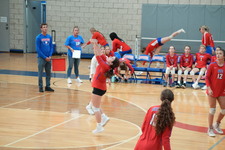 Enlarge photo 412