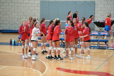 Enlarge photo 424