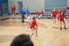 Enlarge photo 438