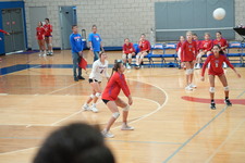 Enlarge photo 439