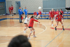 Enlarge photo 442